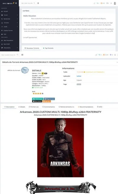 spacetorrent-torrent